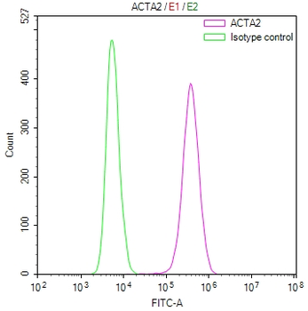ACTA2 Antibody