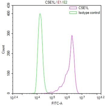 CSE1L Antibody