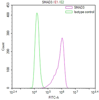 SMAD3 Antibody