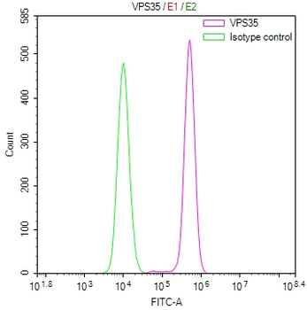 VPS35 Antibody