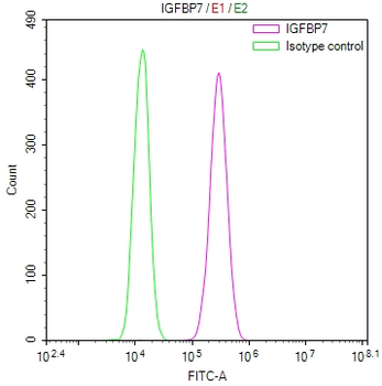 IGFBP7 Antibody