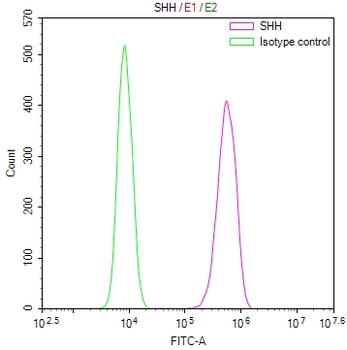 SHH Antibody