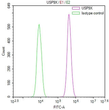 USP9X Antibody