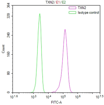 TXN2 Antibody