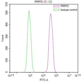 PRPF8 Antibody
