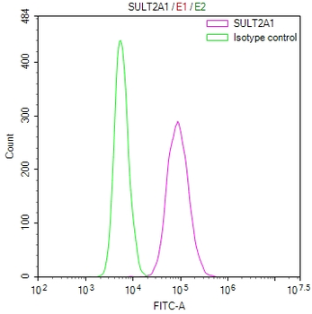 SULT2A1 Antibody