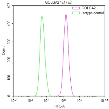 GOLGA2 Antibody