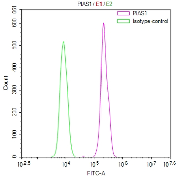 PIAS1 Antibody