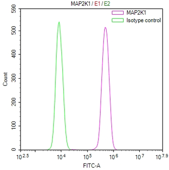 MAP2K2&MAP2K1 Antibody