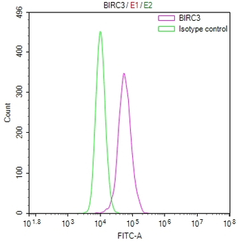 BIRC3 Antibody