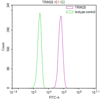 TRIM28 Antibody