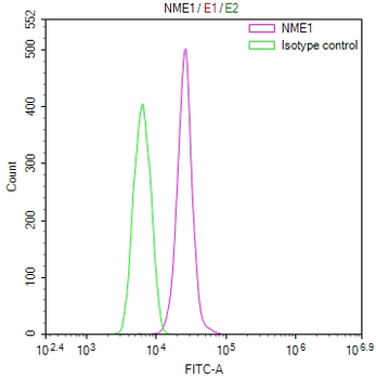 NME1 Antibody