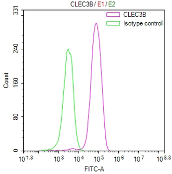 CLEC3B Antibody