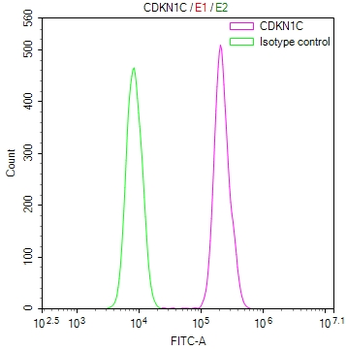 CDKN1C Antibody