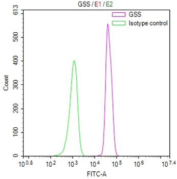 GSS Antibody
