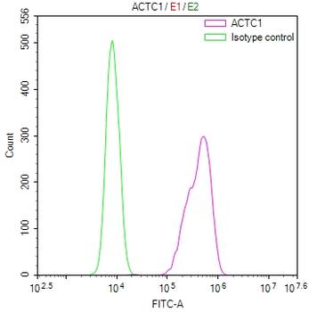 ACTA2&ACTC1&ACTG2 Antibody