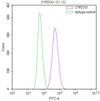 CYP27A1 Antibody