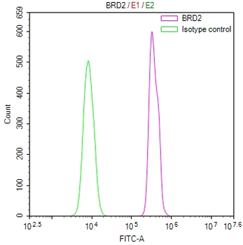 BRD2 Antibody
