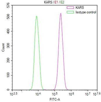 KARS Antibody