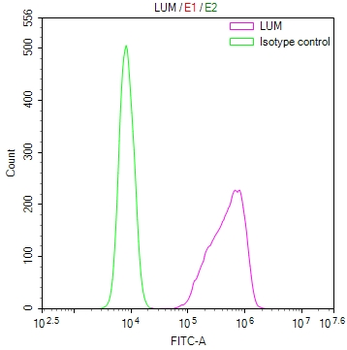 LUM Antibody