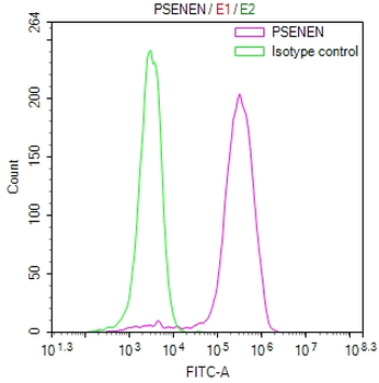 PSENEN Antibody