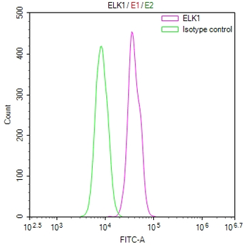ELK1 Antibody
