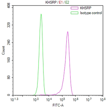 KHSRP Antibody