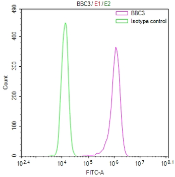 BBC3 Antibody