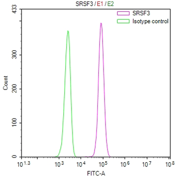 SRSF3 Antibody