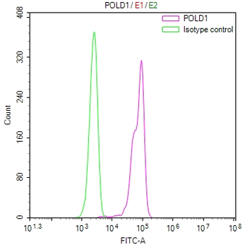POLD1 Antibody