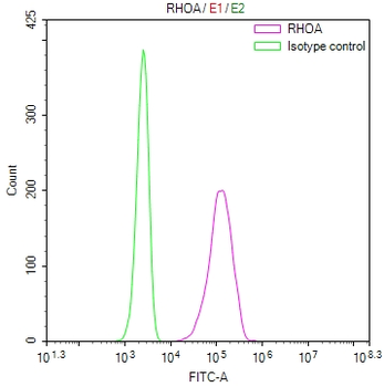 RHOB&RHOA&RHOC Antibody