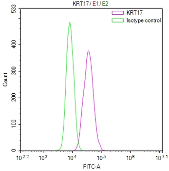 KRT17 Antibody