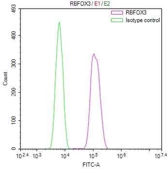 RBFOX3 Antibody