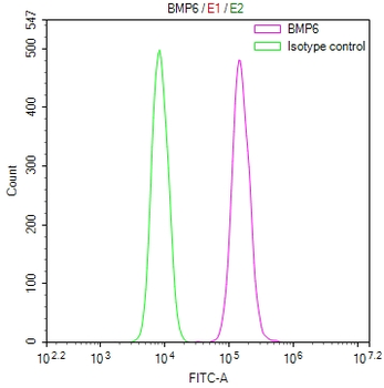 BMP6 Antibody