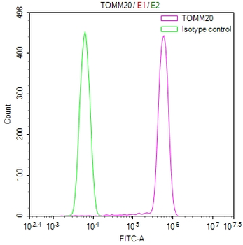 TOMM20 Antibody