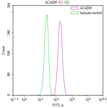 ACADM Antibody