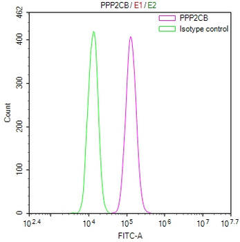 PPP2CA&PPP2CB Antibody