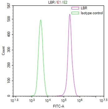 LBR Antibody