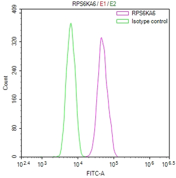 RPS6KA6 Antibody