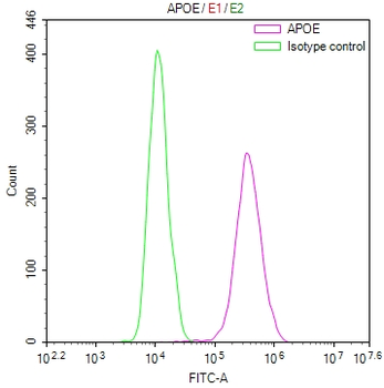 APOE Antibody