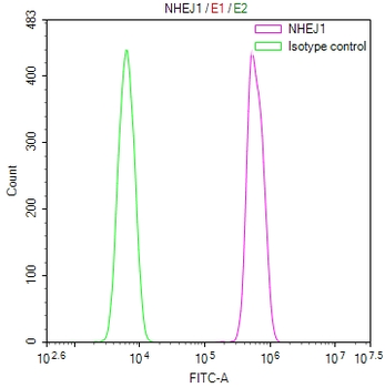 NHEJ1 Antibody