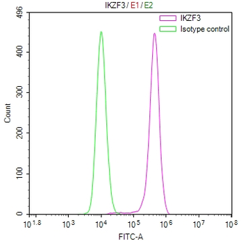 IKZF3 Antibody
