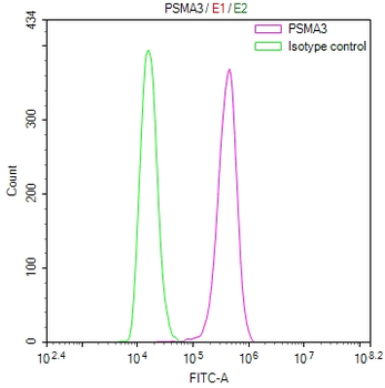 PSMA3 Antibody