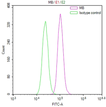 MB Antibody