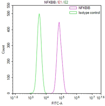 NFKBIB Antibody