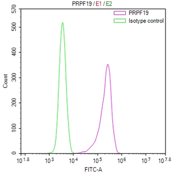 PRPF19 Antibody