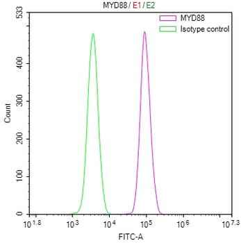 MYD88 Antibody