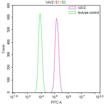 VAV2 Antibody