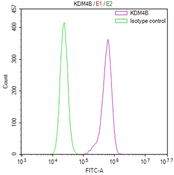 KDM4B Antibody