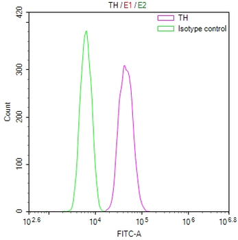 TH Antibody